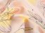 Teflonová látka na ubrusy TF-069 Žluto-růžové květy s lístky - šířka 155 cm - detail 5 - Biante.cz