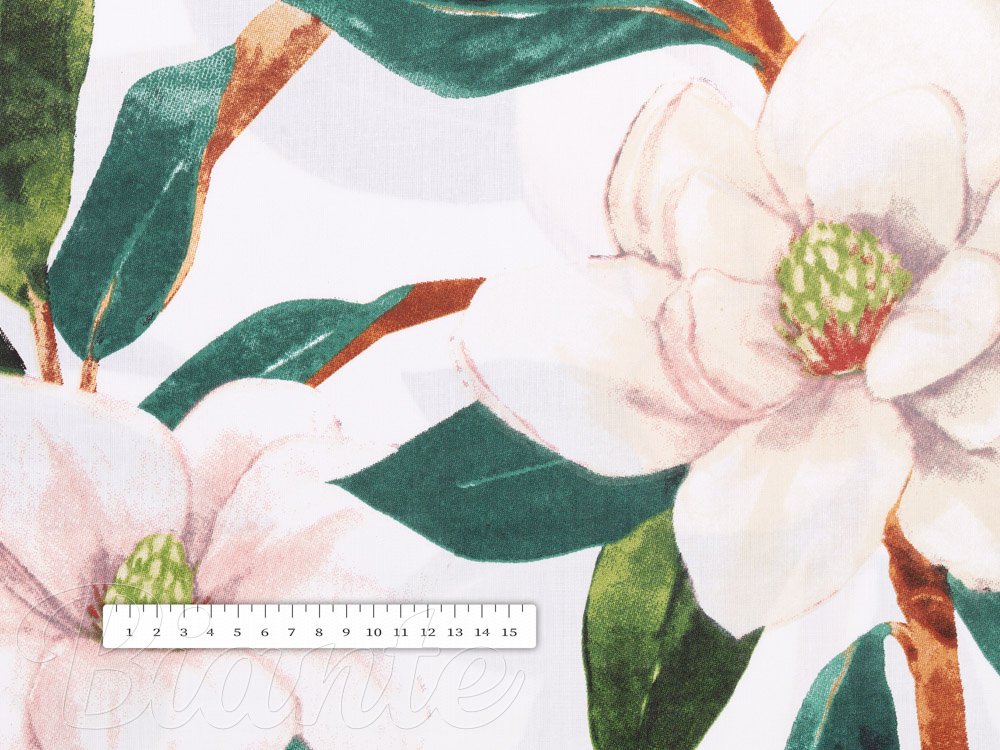 Bavlněná látka/plátno Sandra SA-293 Magnolie se zelenými listy na bílém - šířka 160 cm - detail 3 - Biante.cz