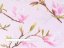 Bavlněná látka/plátno Sandra SA-233 Květy magnolie na růžovém - šířka 160 cm - detail 4 - Biante.cz