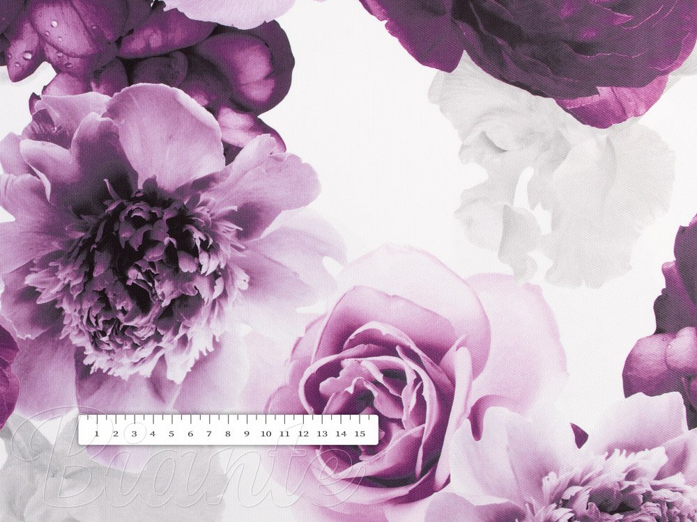 Dekoračná látka PM-029 Veľké fialové kvety - šírka 150 cm - detail 2 - Biante.sk