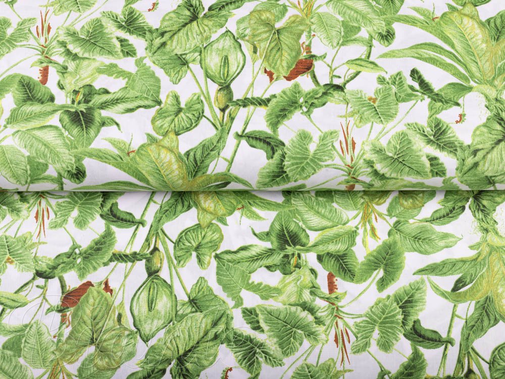 Bavlnená látka/plátno Sandra SA-297 Zelené izbové rastliny na bielom - šírka 160 cm - detail 2 - Biante.sk