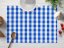 Teflónové prestieranie na stôl TF-070 Modro-biela kocka - Biante.sk