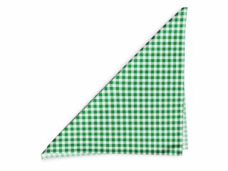 Bavlněný šátek Sandra SA-058 Zeleno-bílé kostičky - detail 1 - Biante.cz