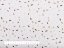 Bavlnená látka/plátno Sandra SA-396 Hnedo-béžové konfety na bielom - šírka 160 cm - detail 3 - Biante.sk