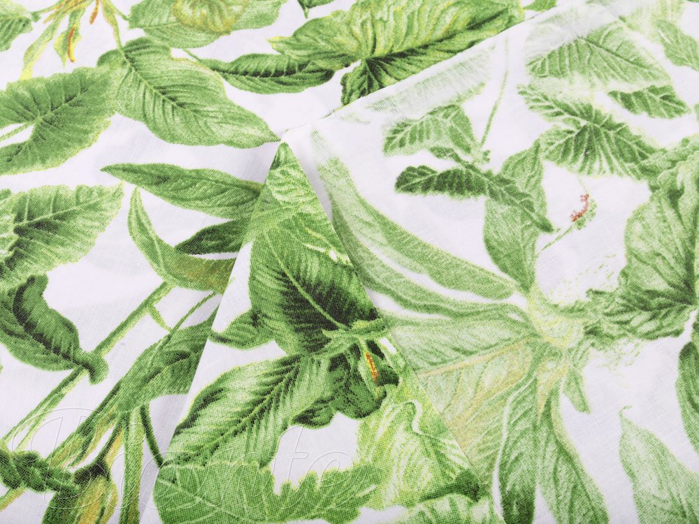 Bavlnená látka/plátno Sandra SA-297 Zelené izbové rastliny na bielom - šírka 160 cm - detail 4 - Biante.sk